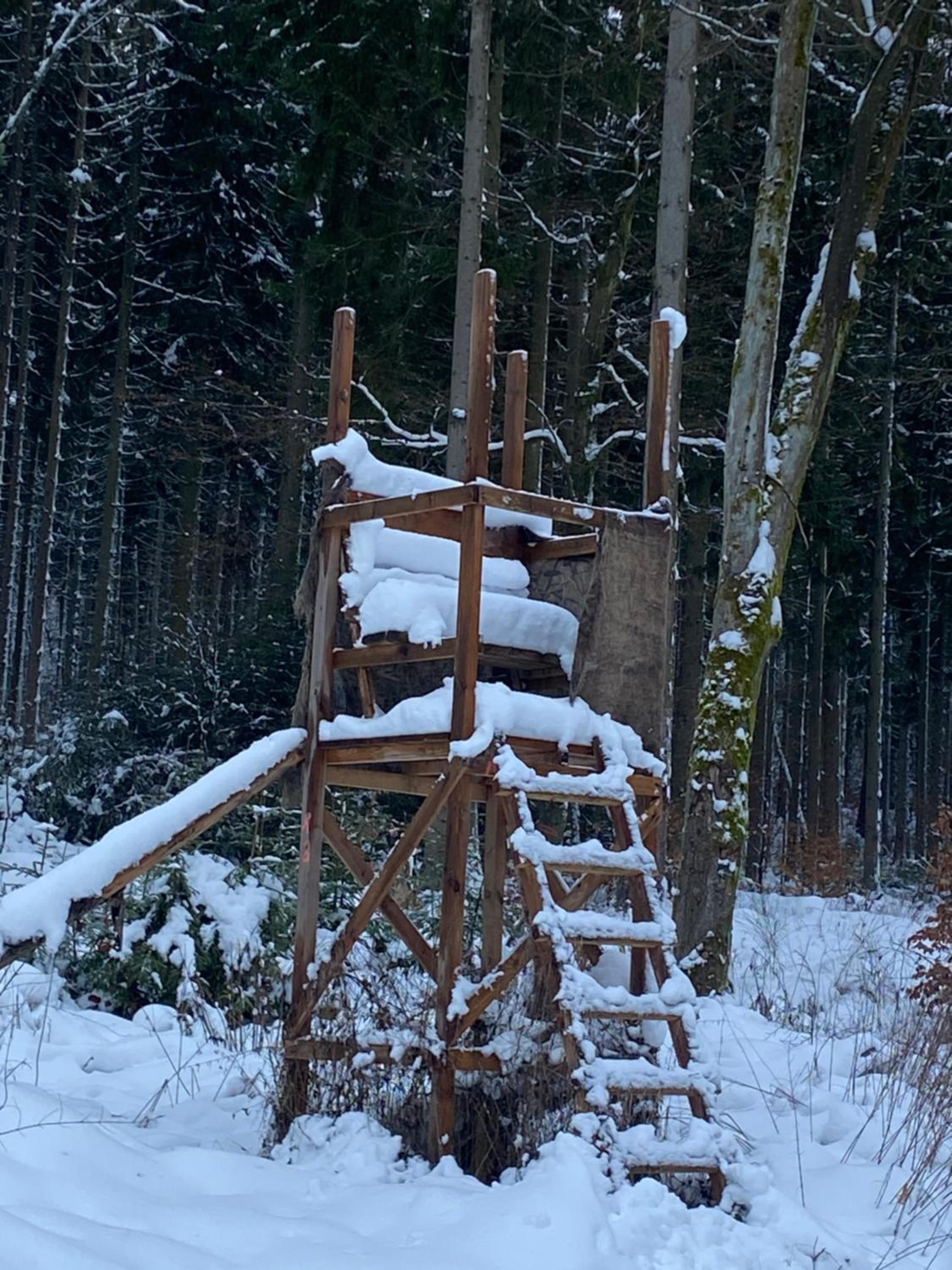 Zum waldfrieden view 2