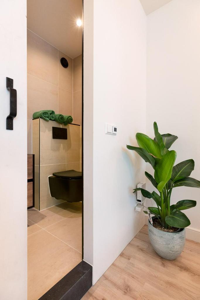 Boutique Studio Magielsen