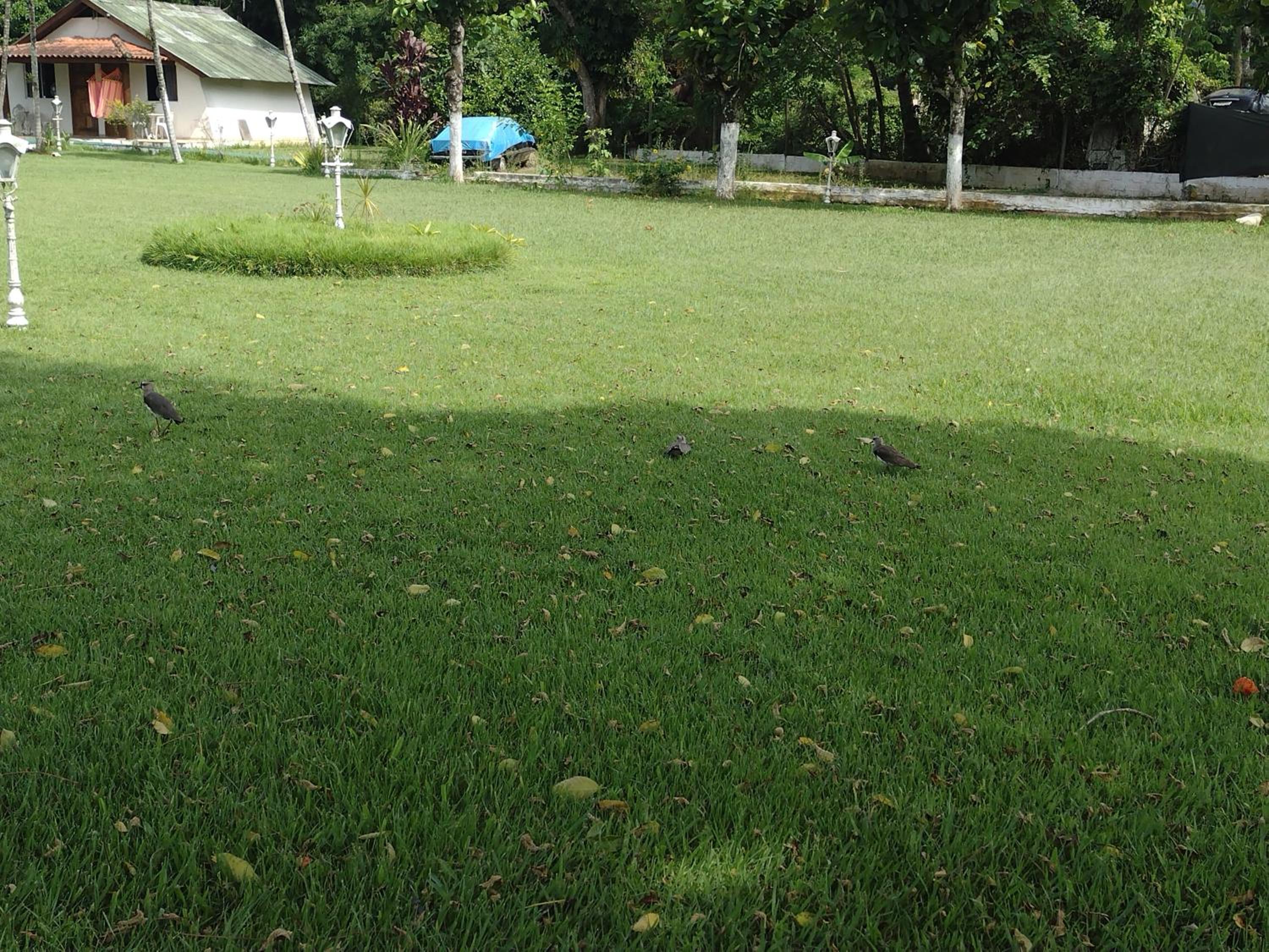 Ilhabela Tênis Clube