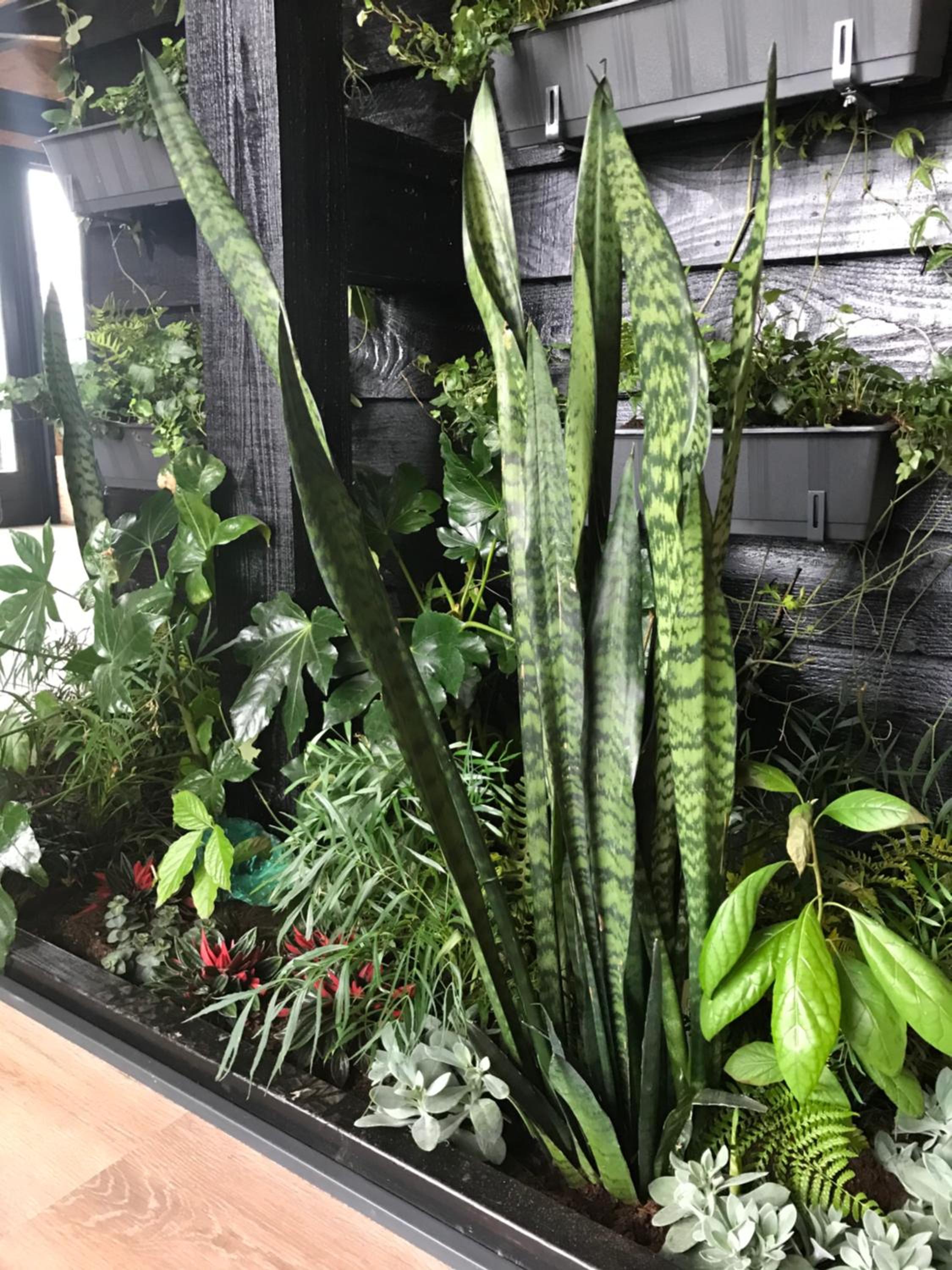 De Tuinschuur