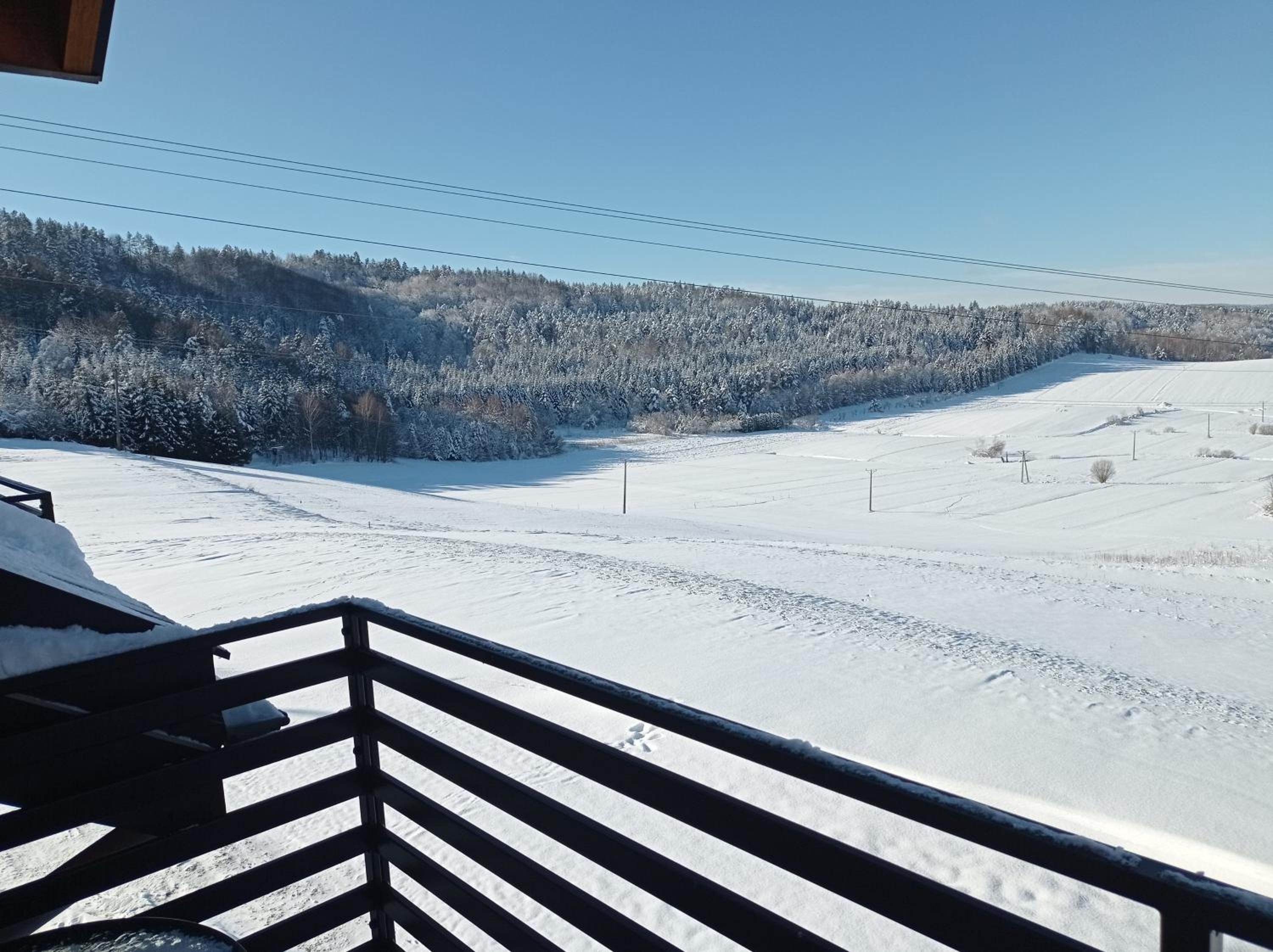 Bieszczadzki Horyzont Apartamenty 530 - 977 - 691