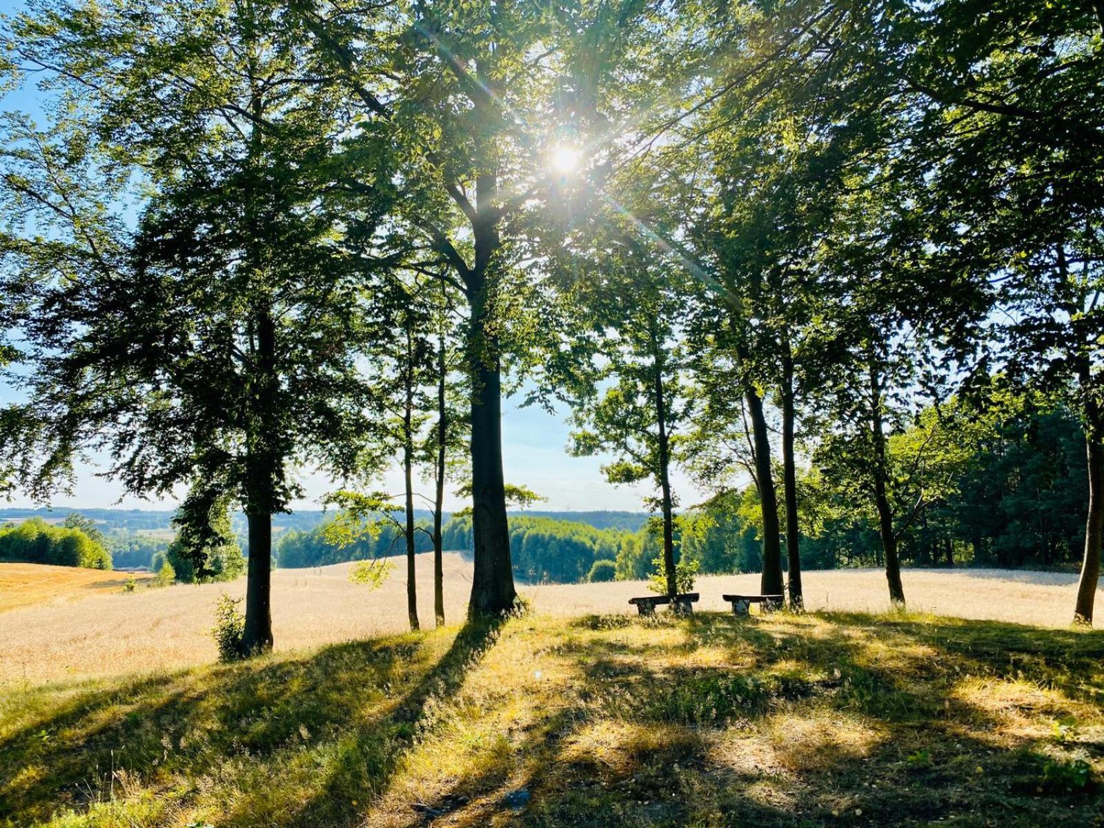 Buczylas Siedlisko view 3