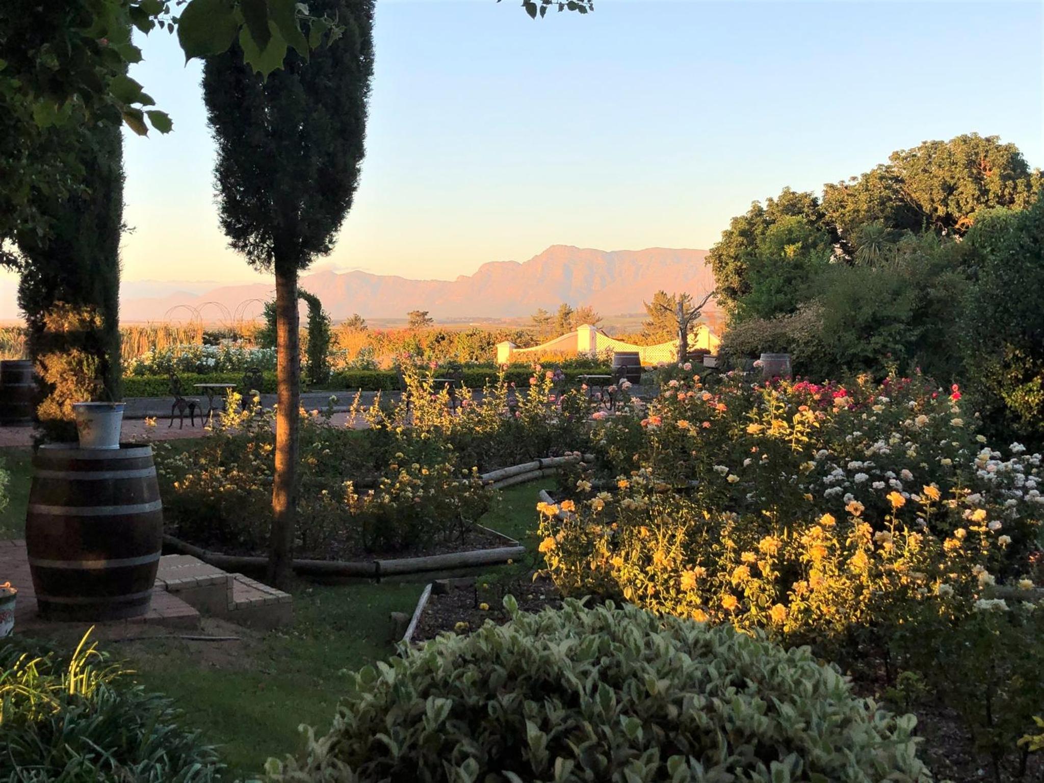 Bakenhof Winelands Lodge