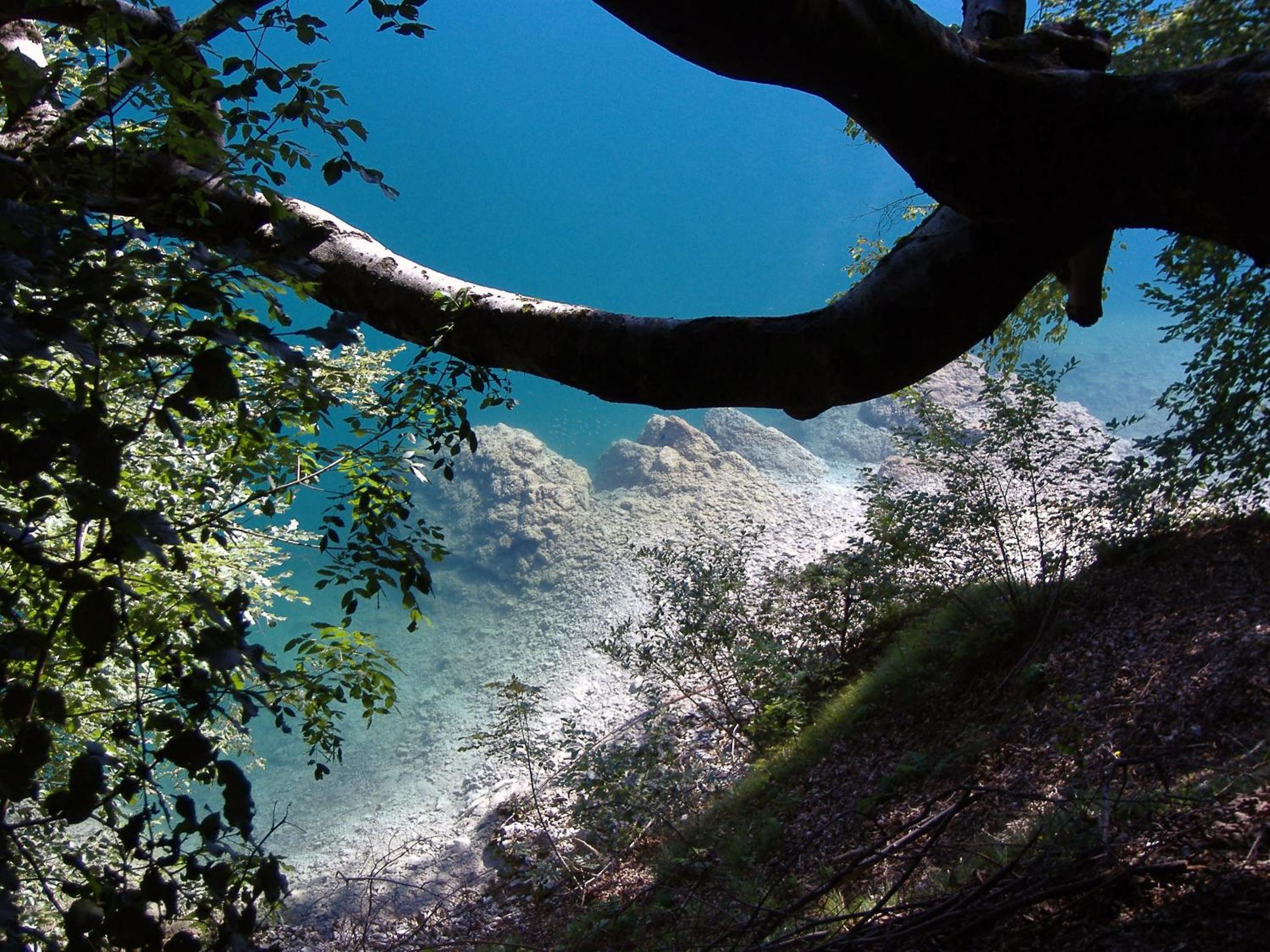 Photo 10