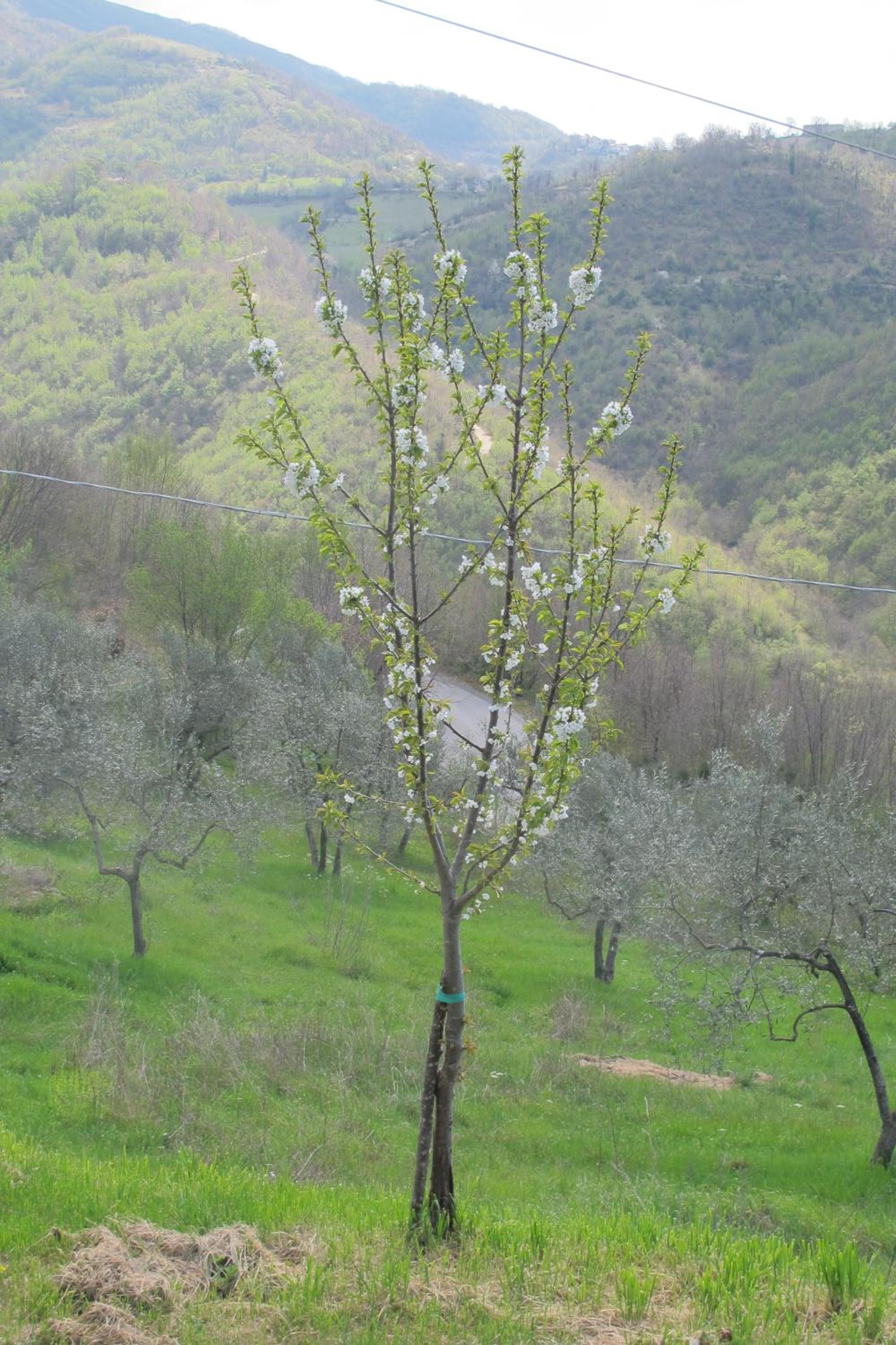 Photo 24