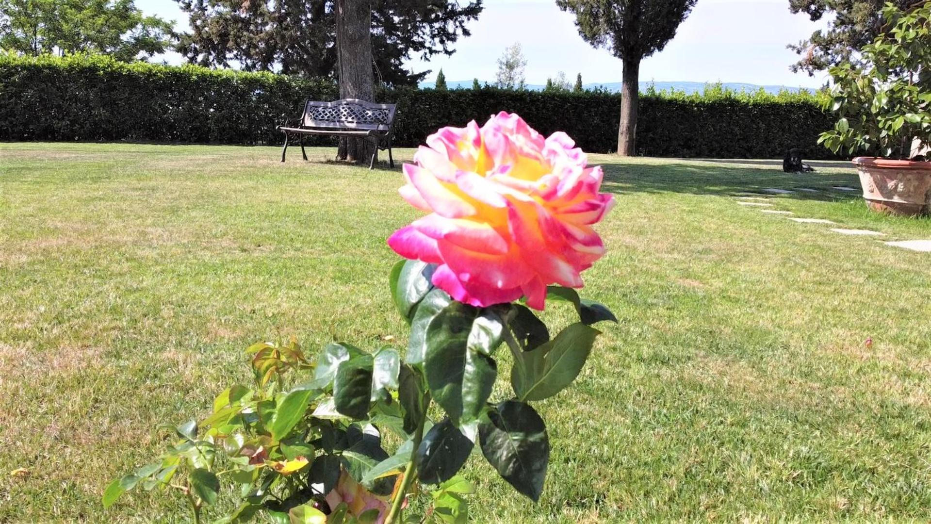 Photo 23