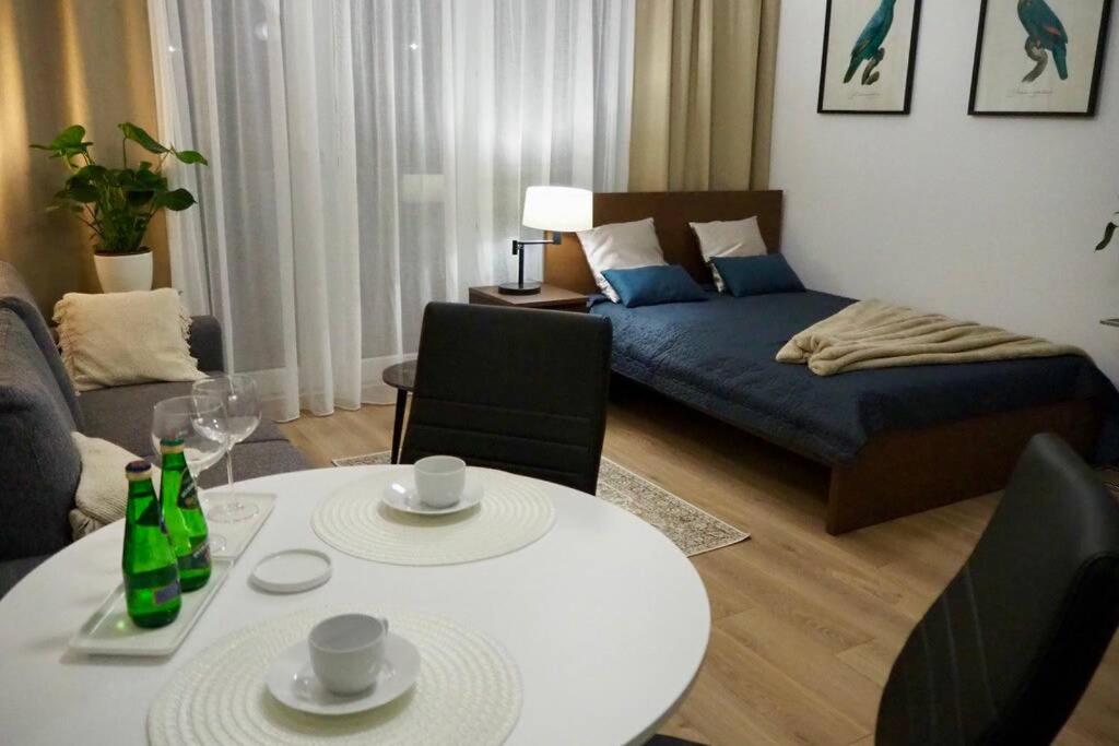 Studio nr 1 close to Medicover and Paley Institute view 5