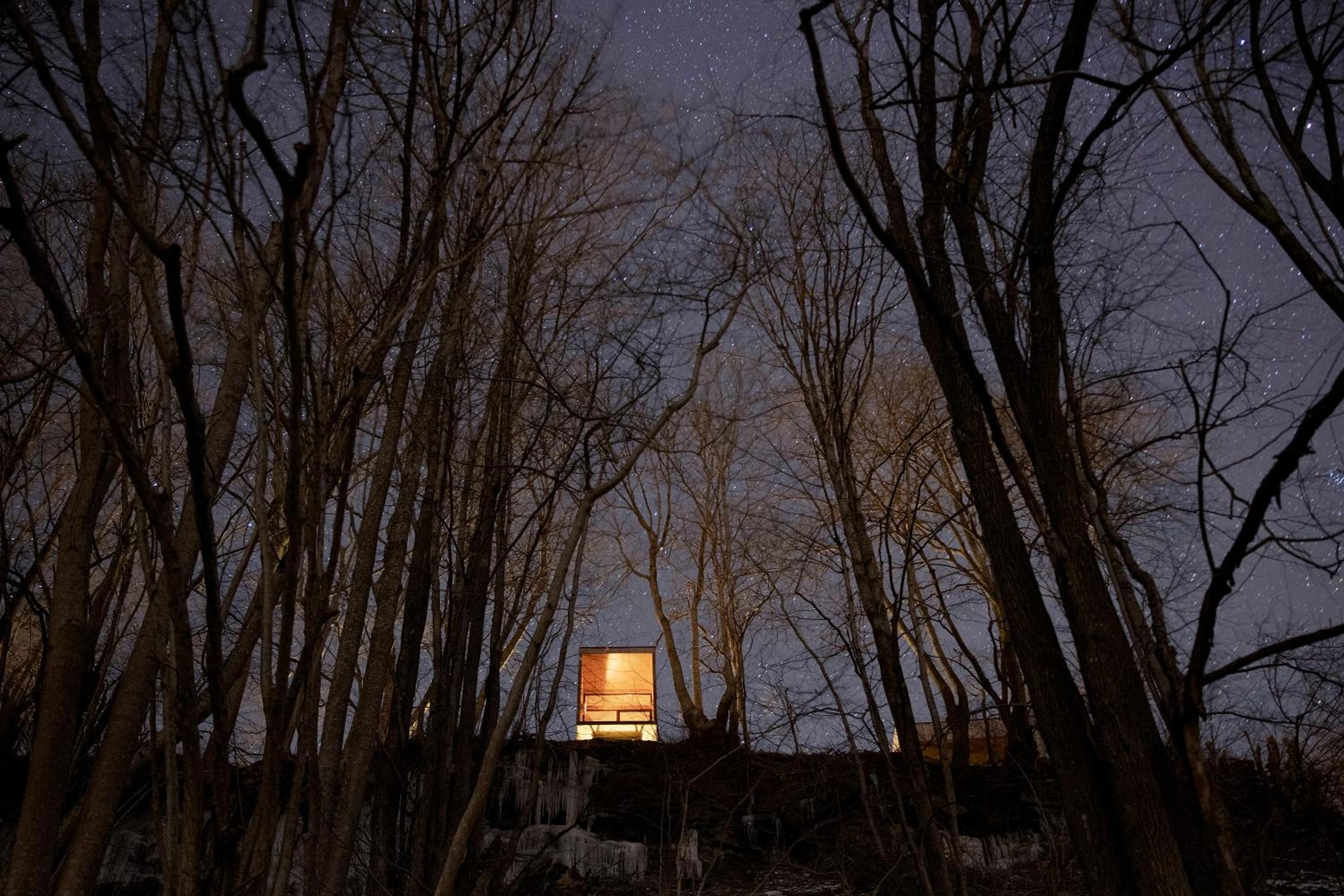 Treehut, nature, birds, silence and fjord