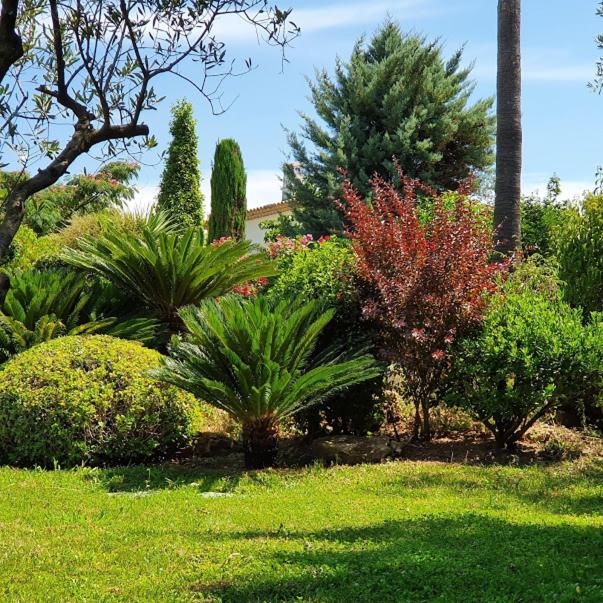 Le Domaine des Mûriers - charme, chic, calme en Provence Côte d'Azur view 5