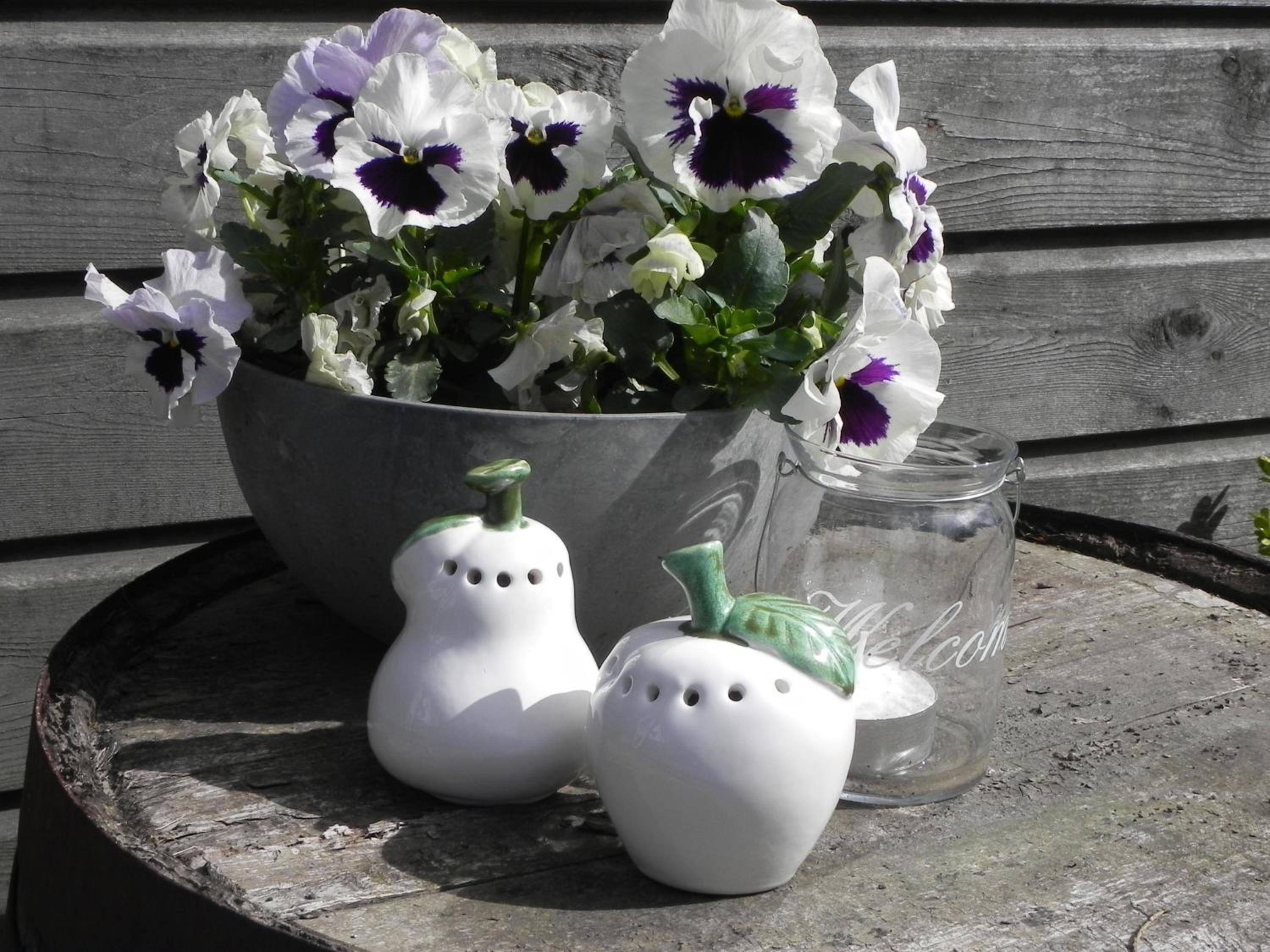 Appels en Peren Bed and Breakfast view 4