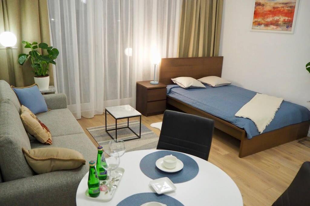 Studio Nr 4 close to Medicover and Paley Institute