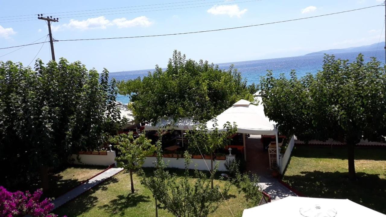 Ammos Studios and Apartments view 4