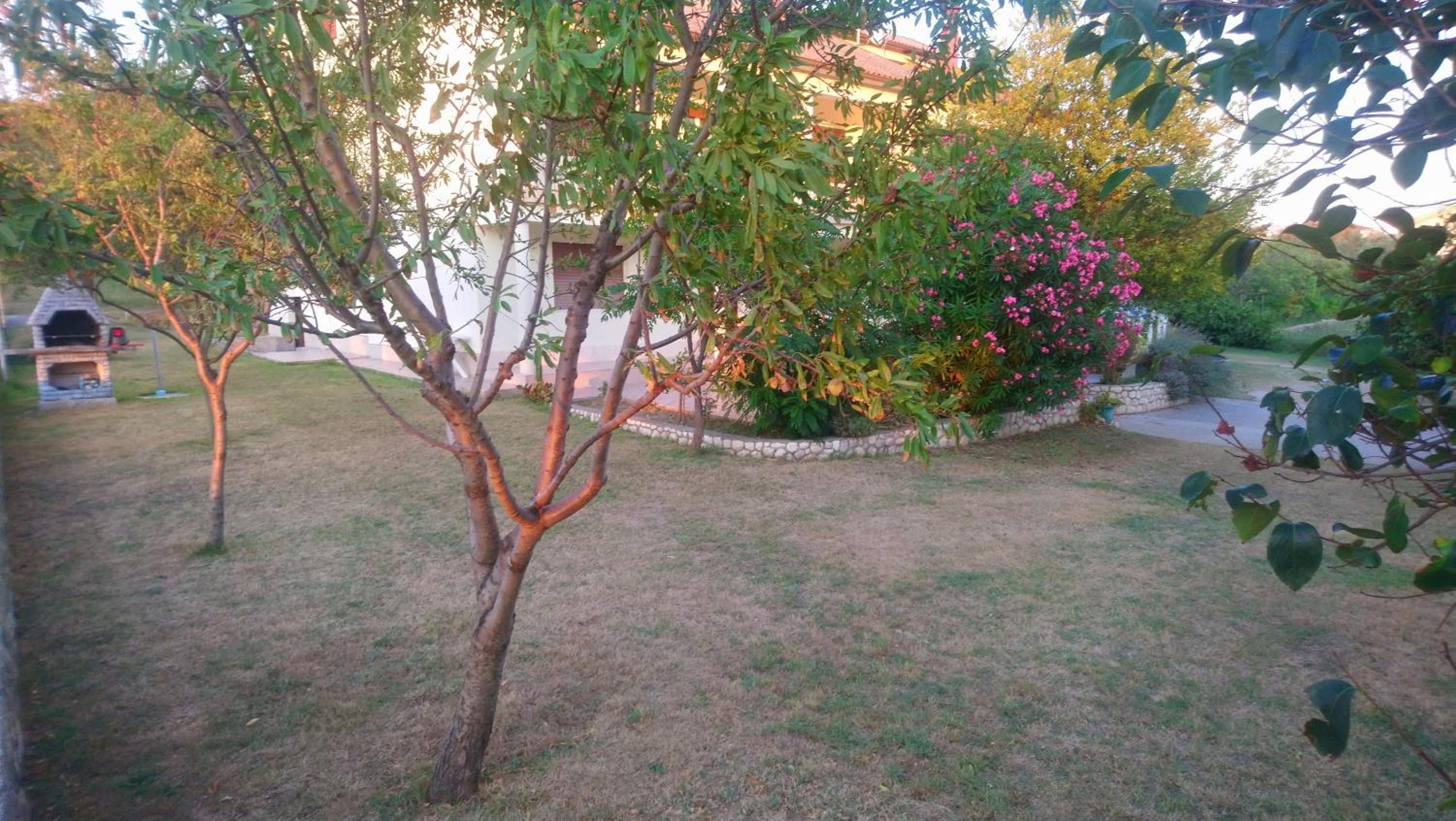 Apartment Vidas view 5