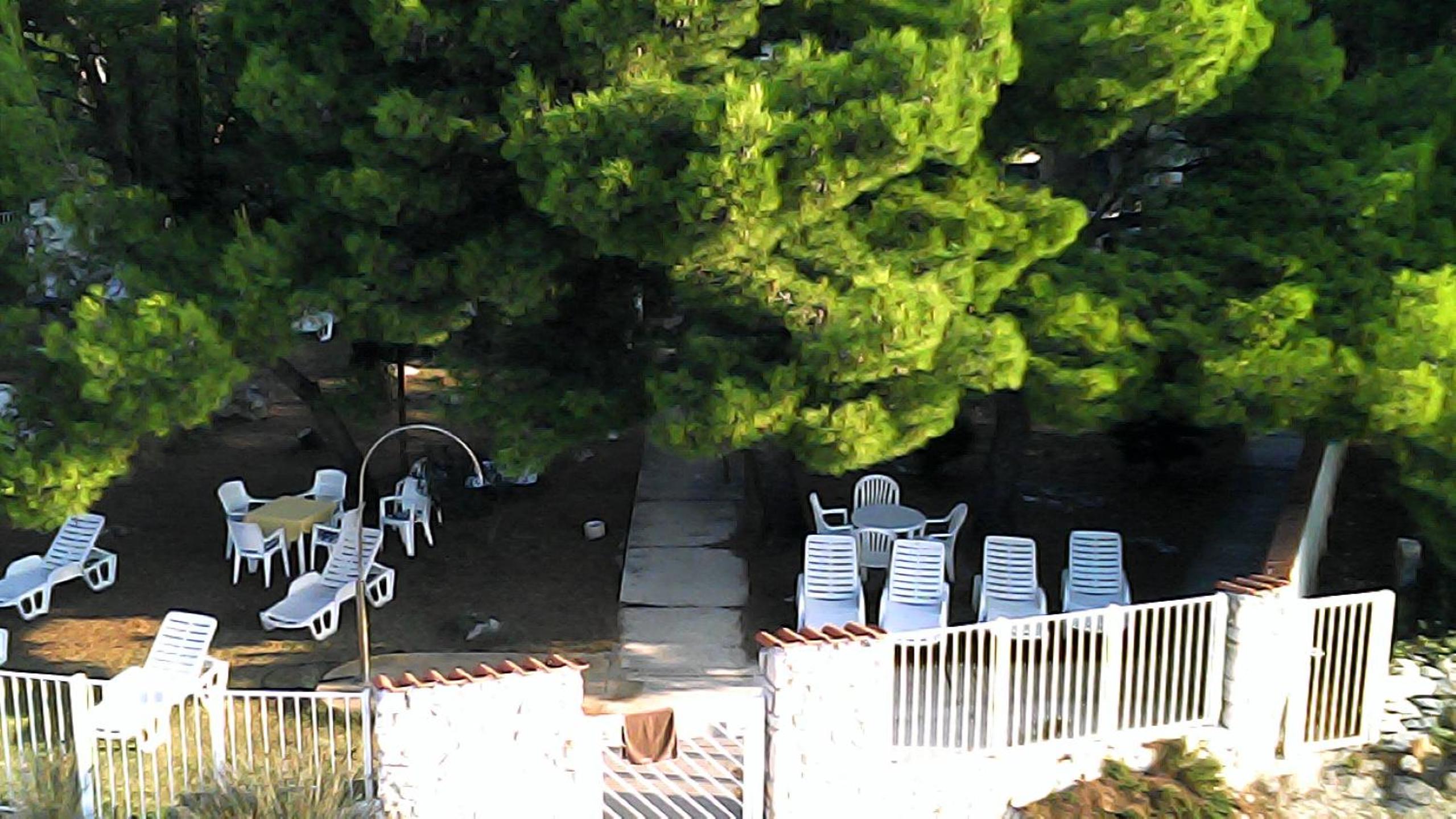 Photo 40