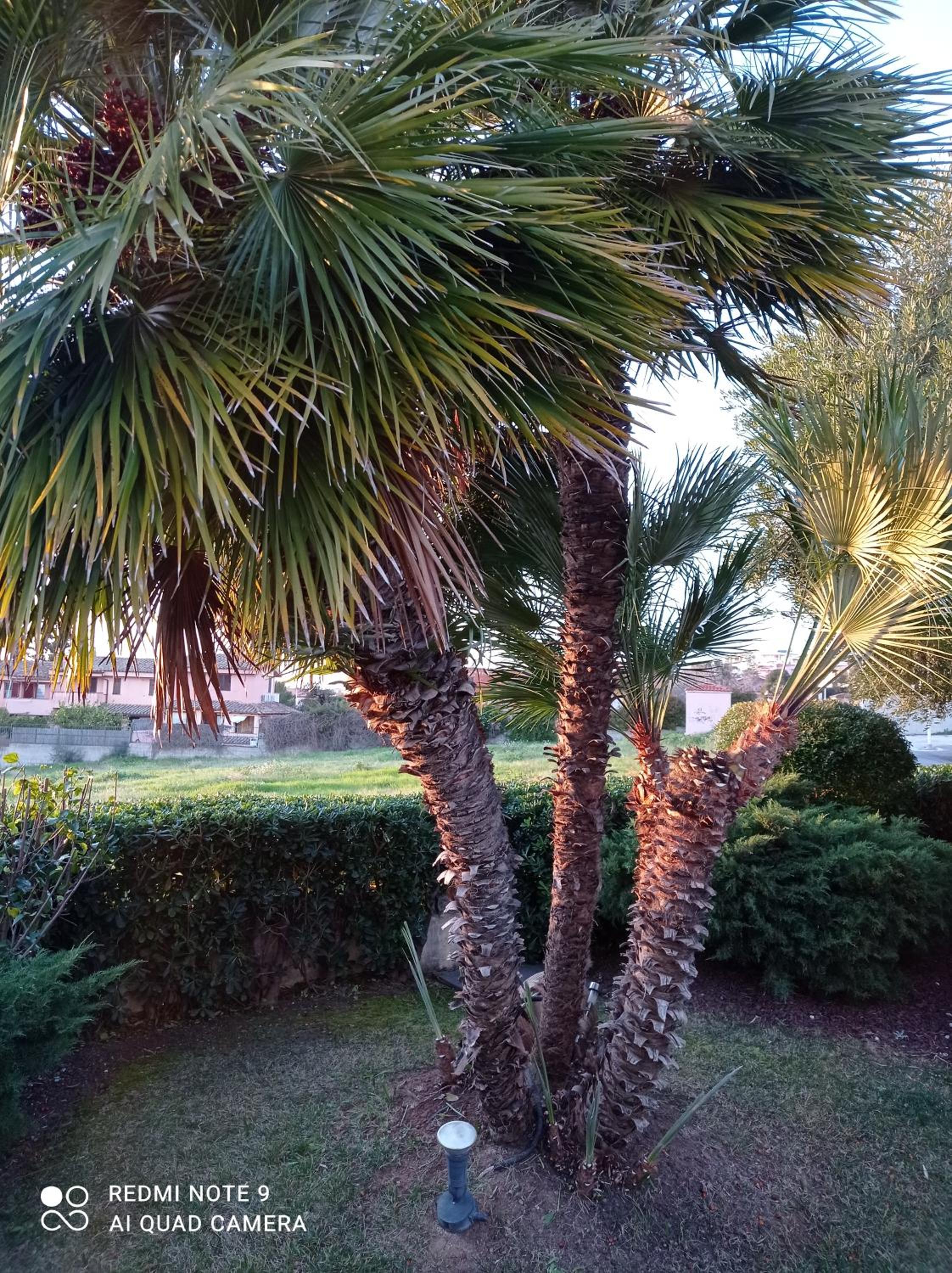 Photo 45