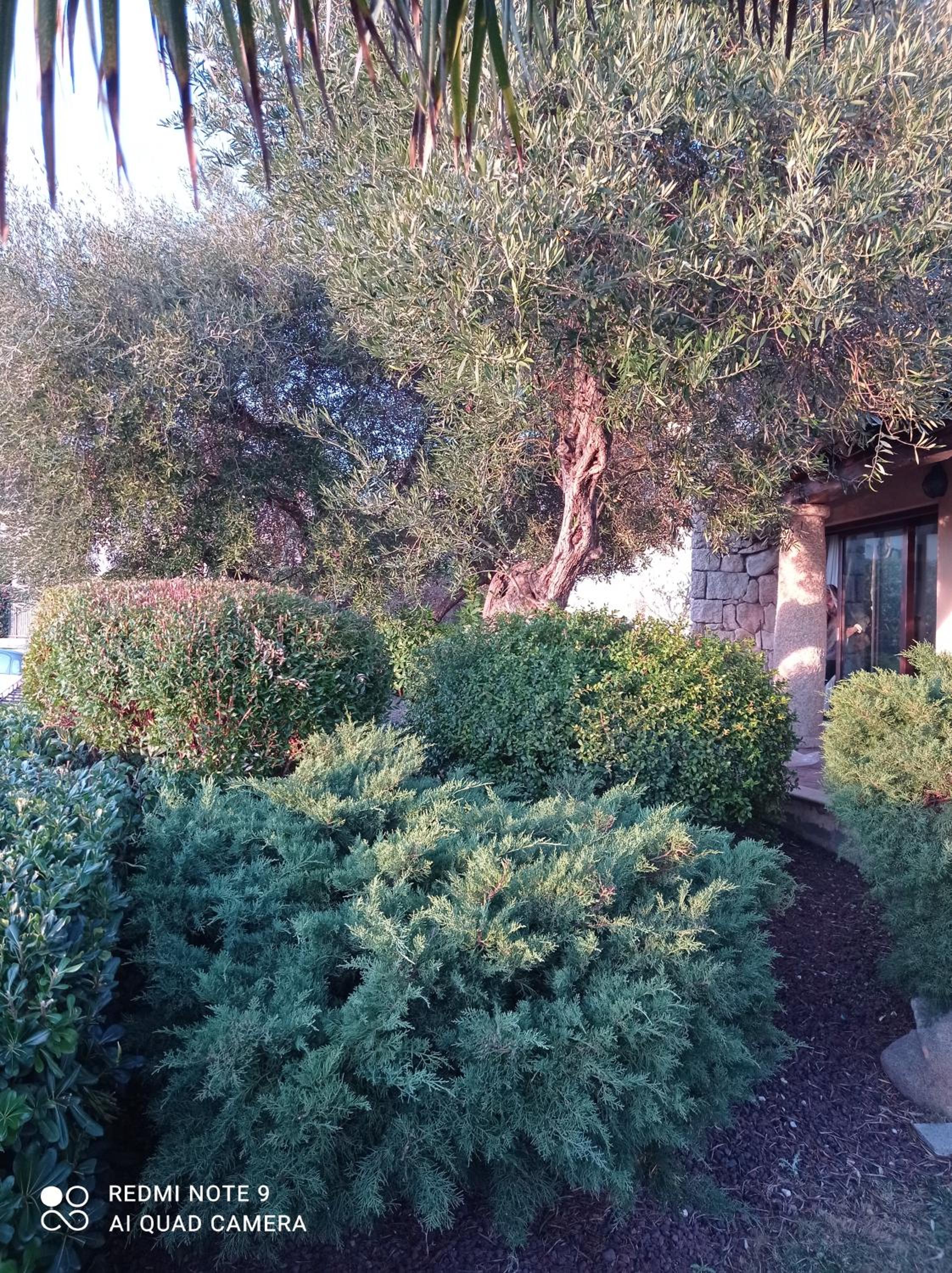 Photo 46