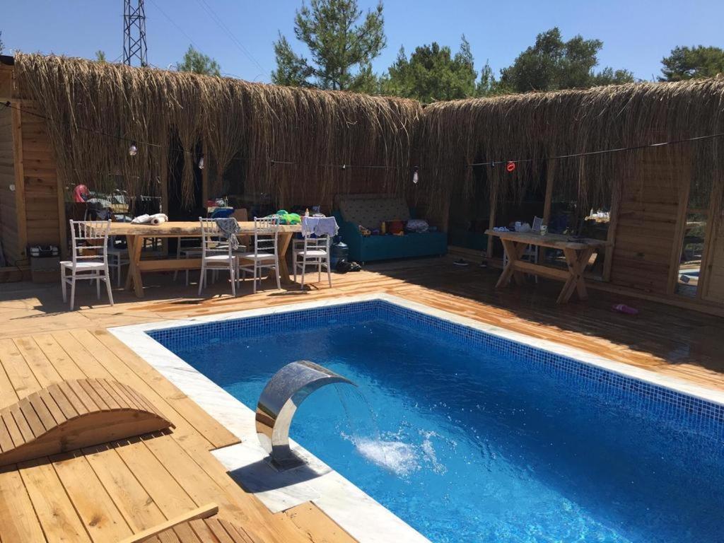swimming pool