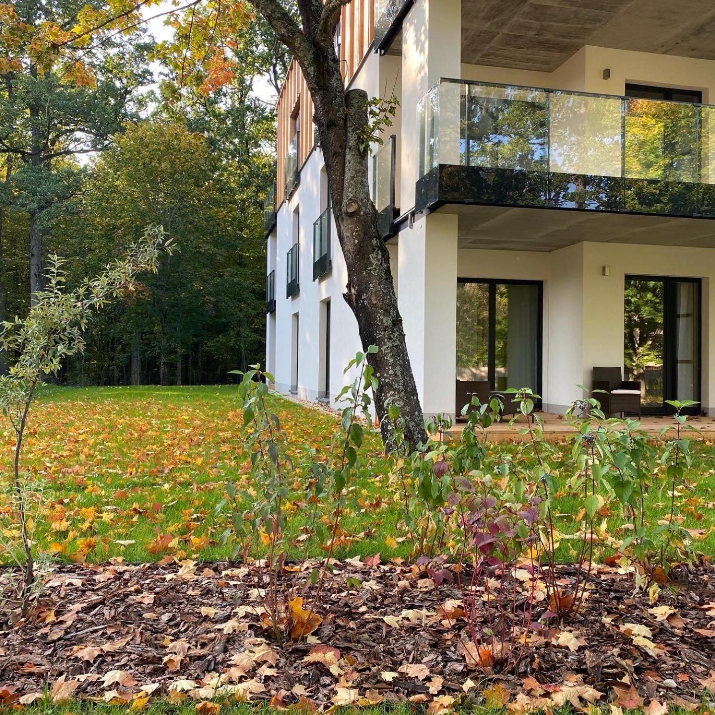 Apartament Nieznany Bór