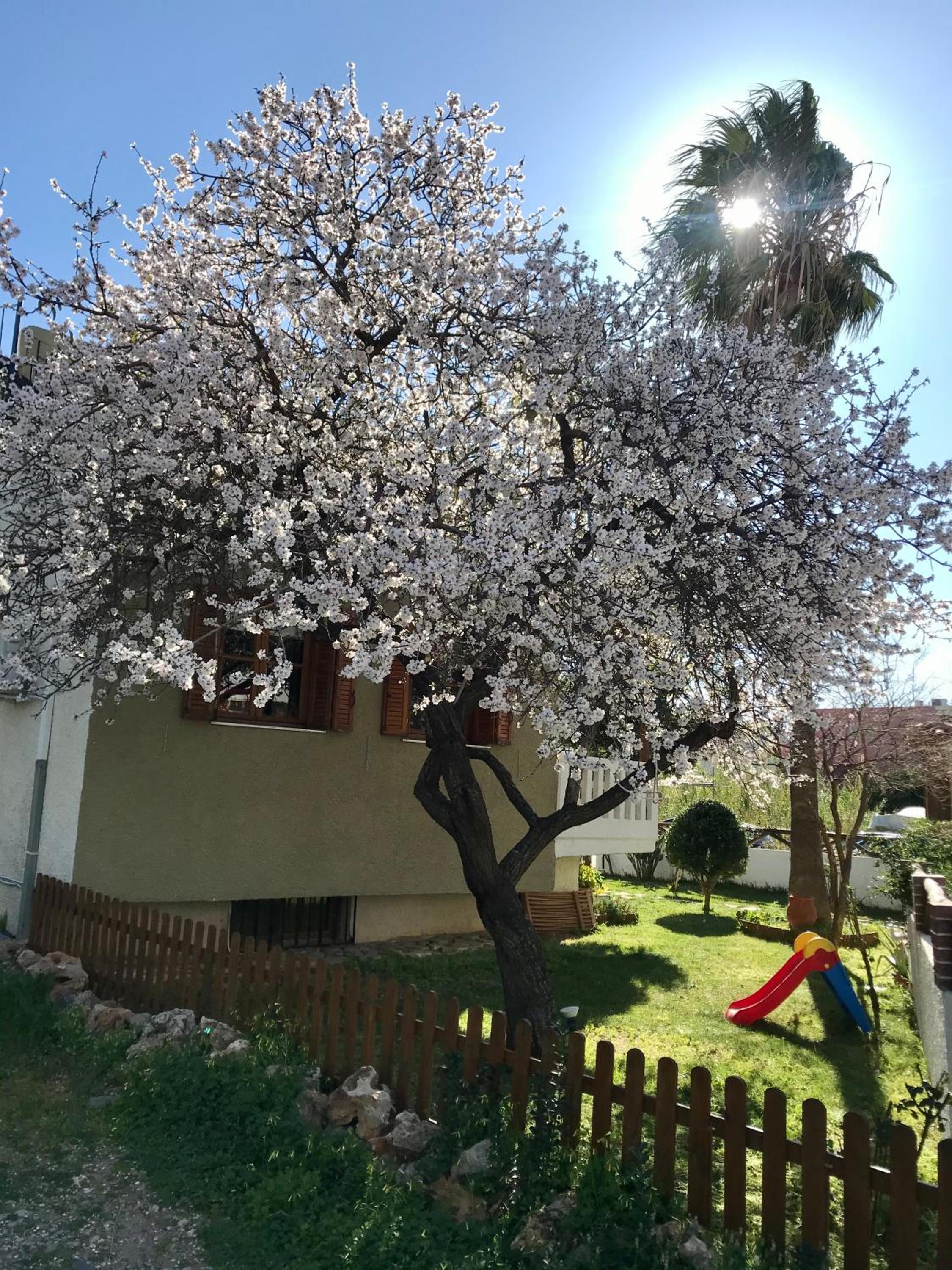 Photo 25