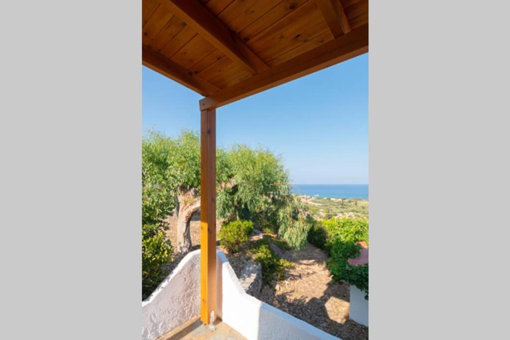 Nektaria's Studio view 2