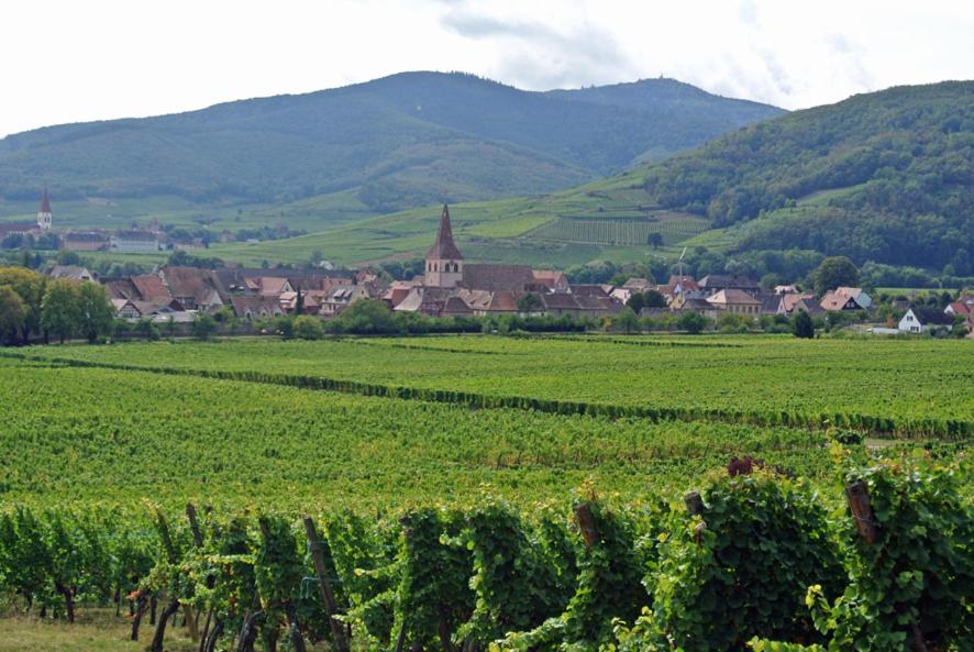 La Maison Bleue