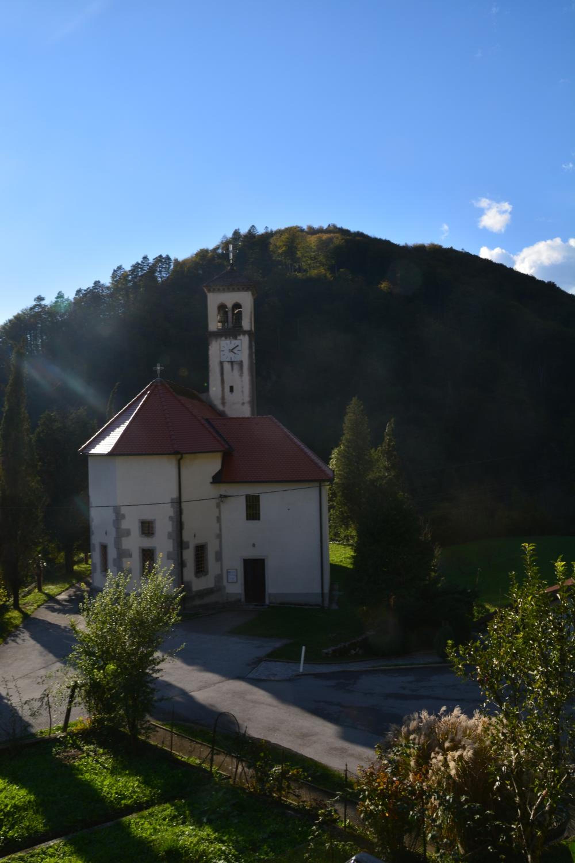 Photo 8