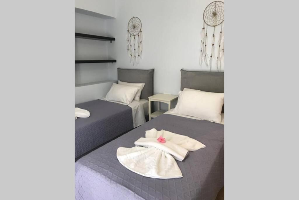 Lefko's House - Contemporary, Fully Renovated House view 2