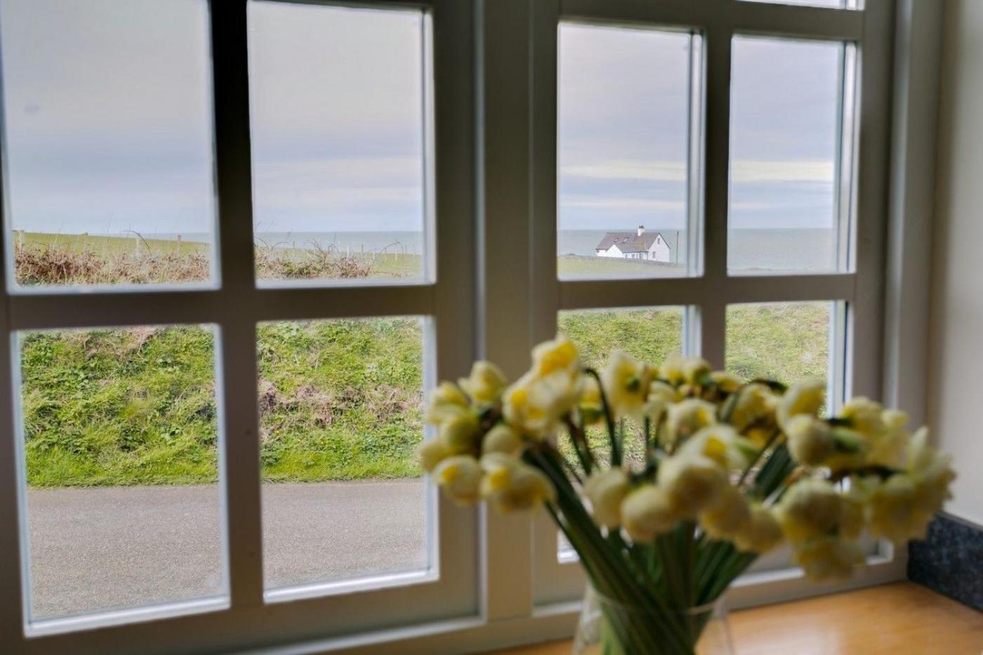 The Dairy view 5