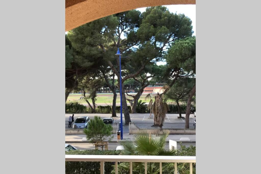 Hyeres Vacations - Studio climatise avec wifi au calme sur le port. - Property Image 6