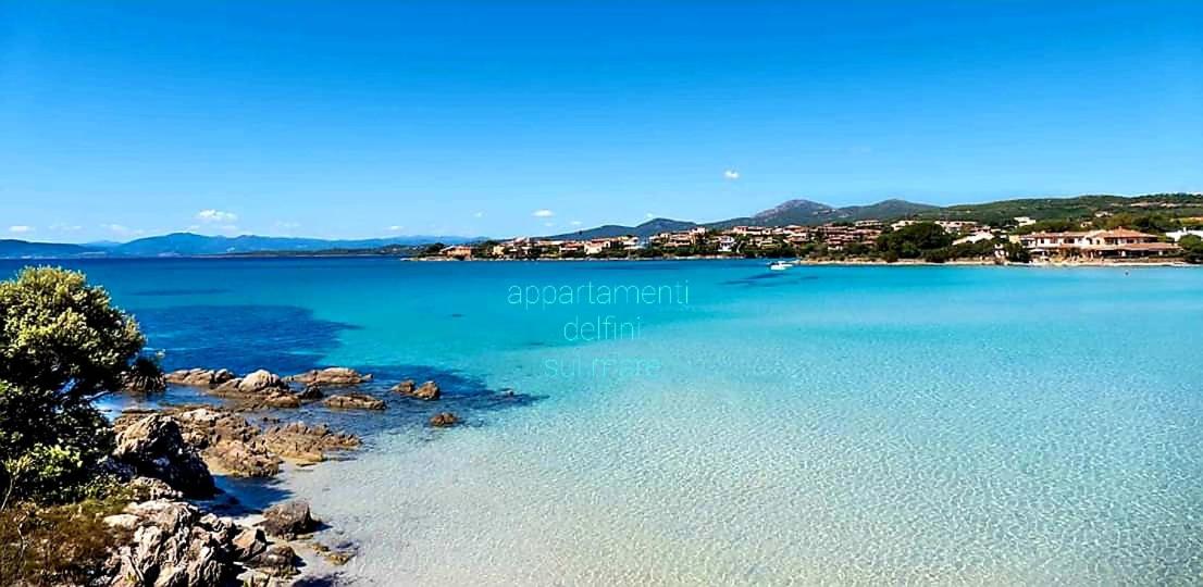 Appartamento delfini sul mare