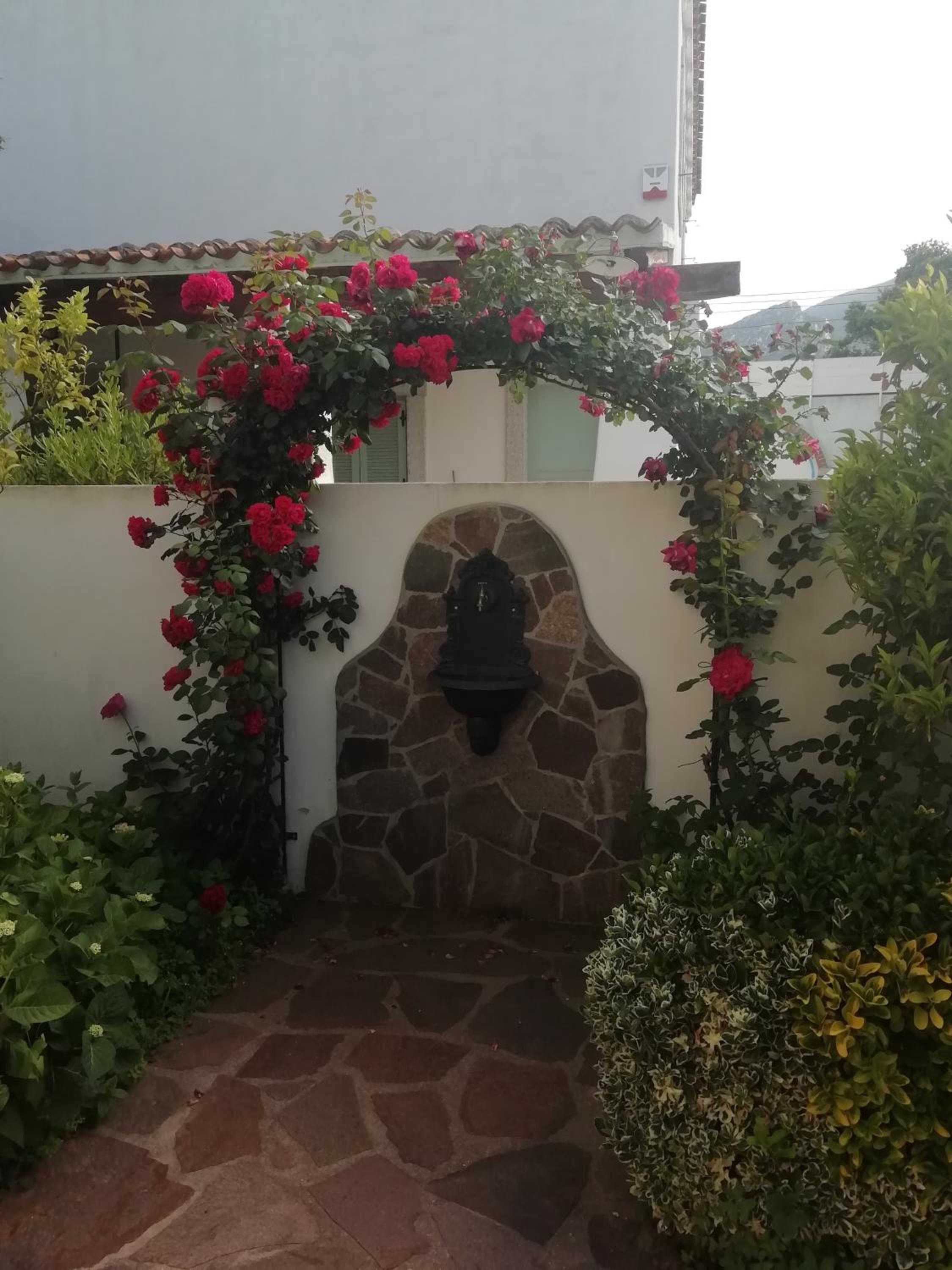 Photo 34