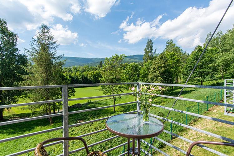 Balcony & Terrace