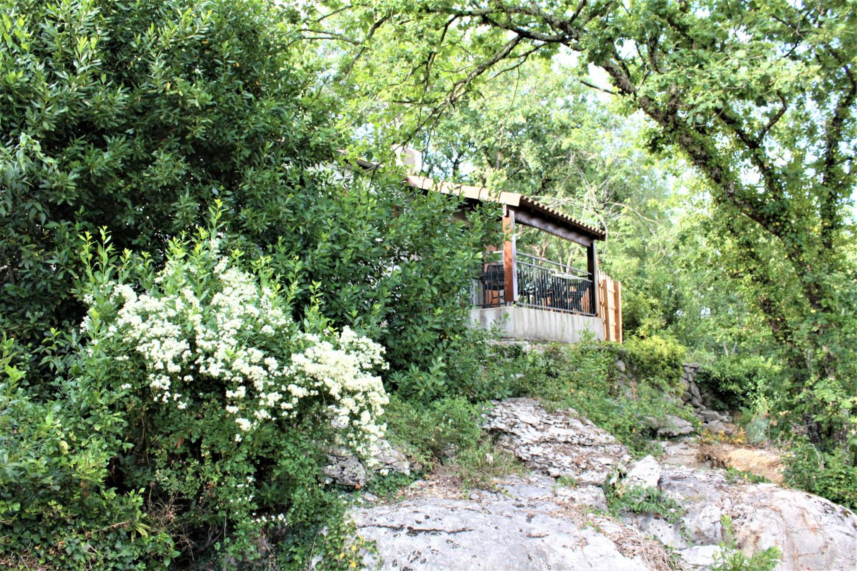 Photo 12