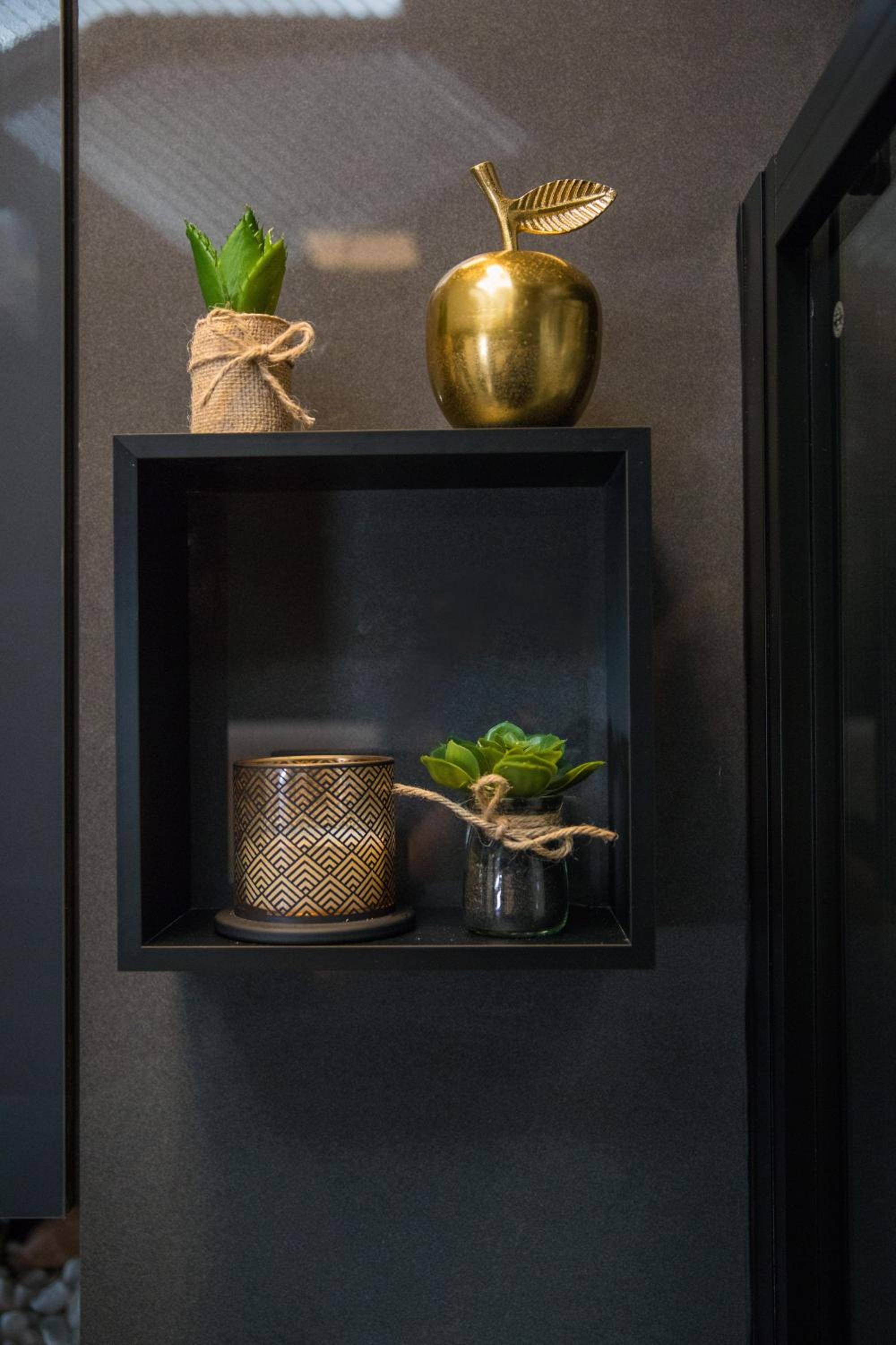 Luxury Apartment Edi