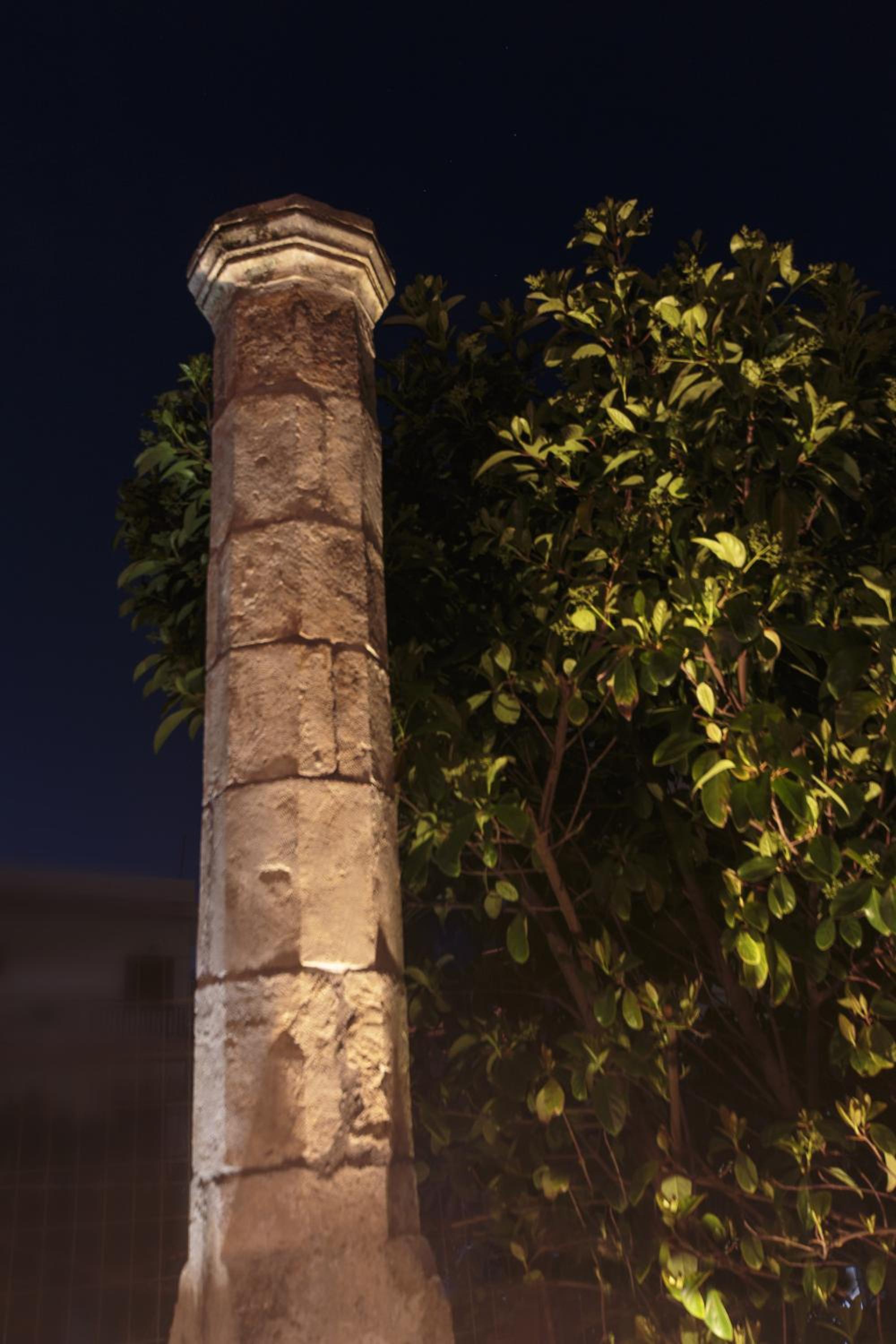 Terpsis Estate