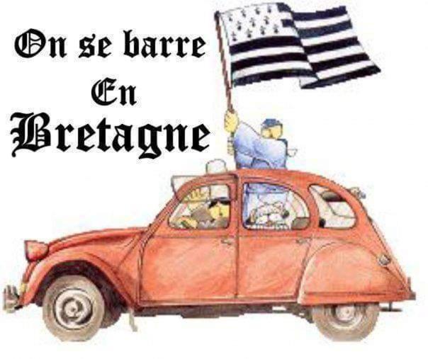 Le Cati Mini view 2