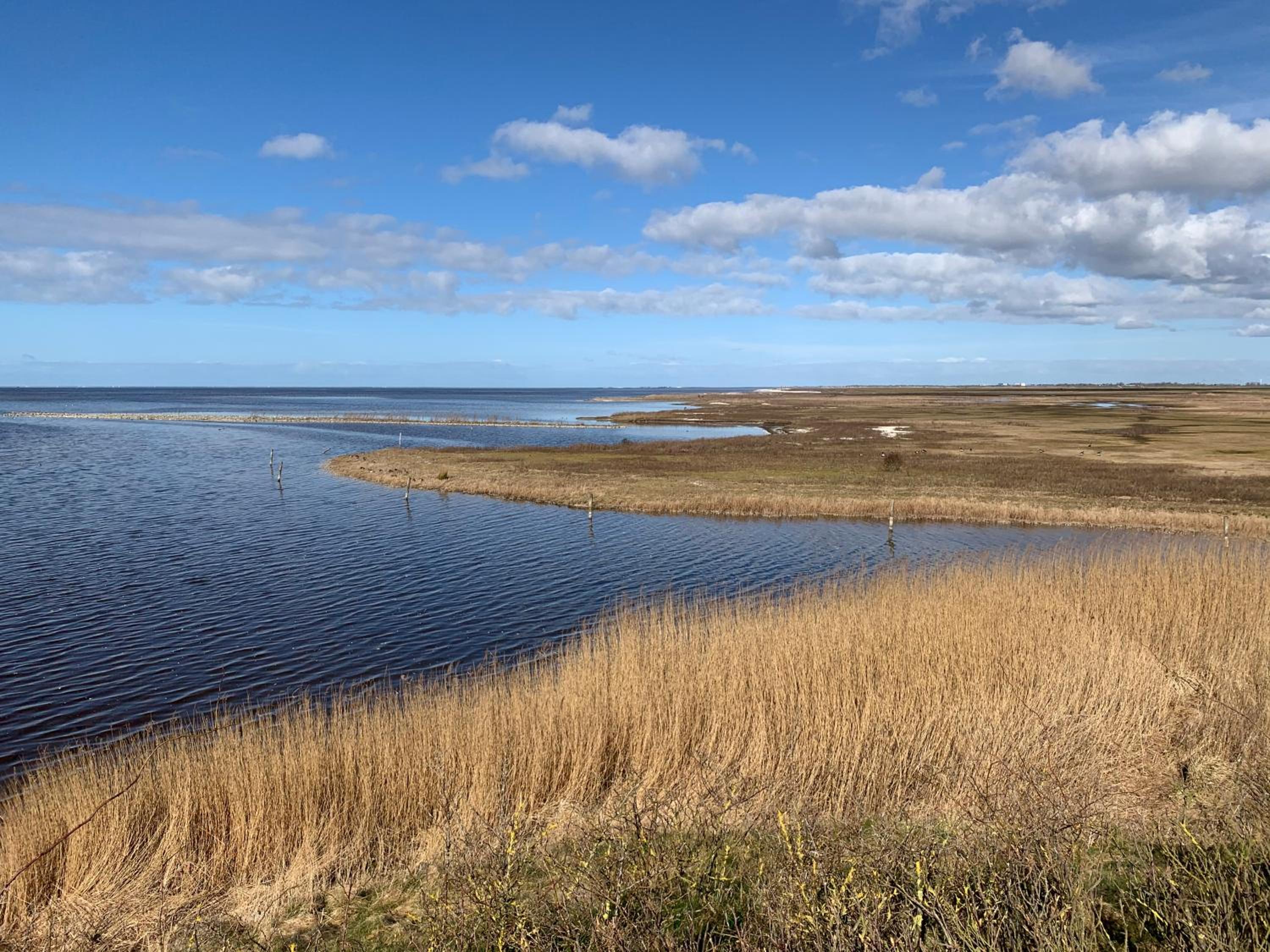 Friese Kust Villa