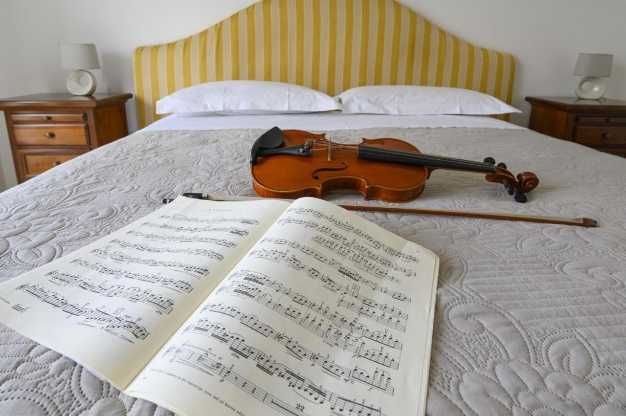 Violinist's house photo 5