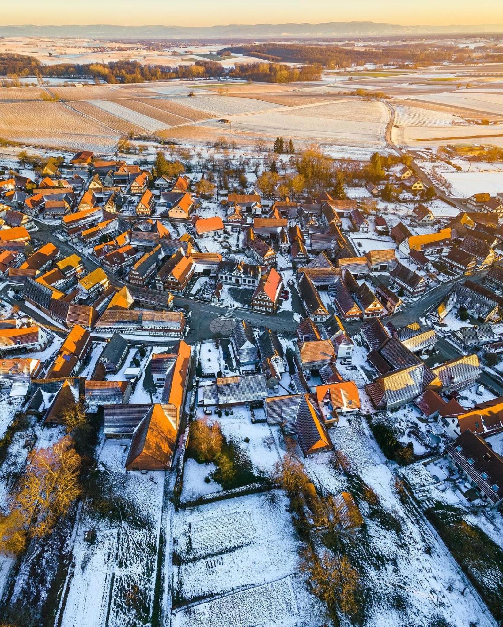 Quartier vert