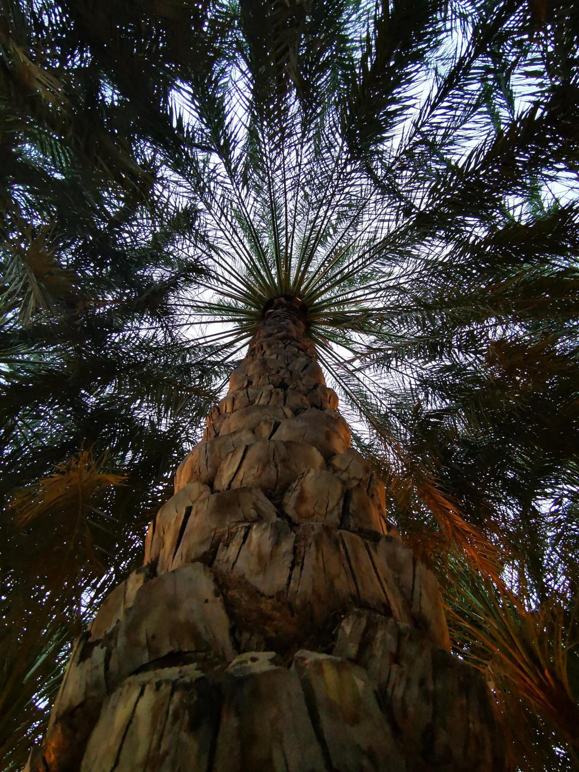 ALBERI LODGE