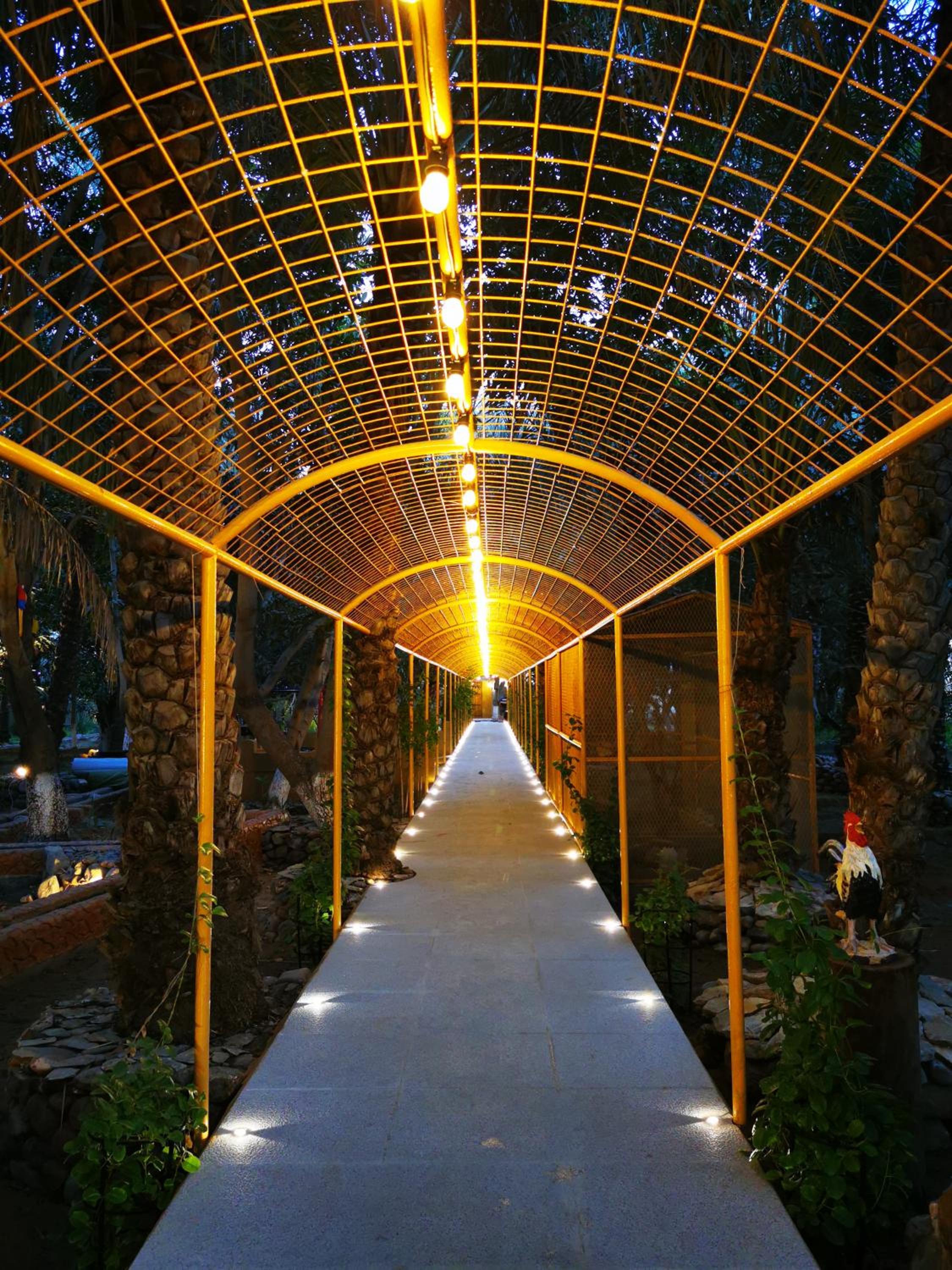 ALBERI LODGE