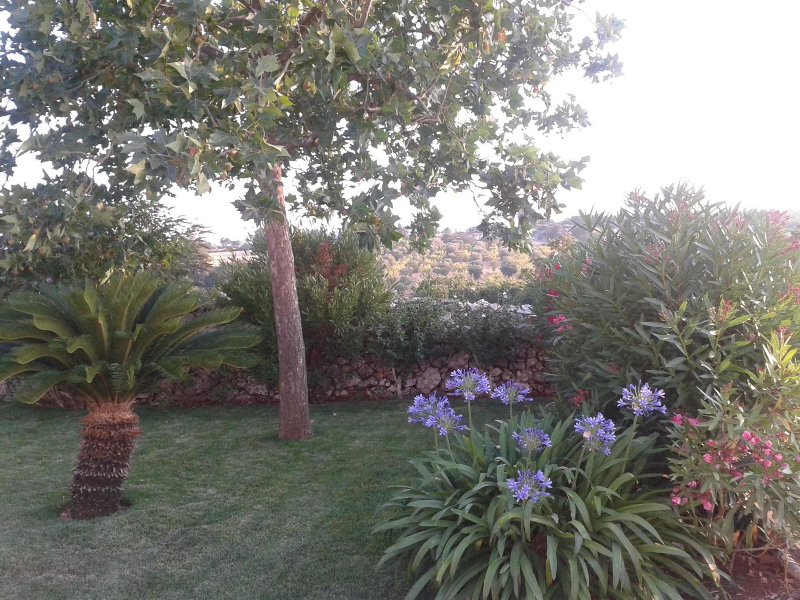 Trulli Beltramonto