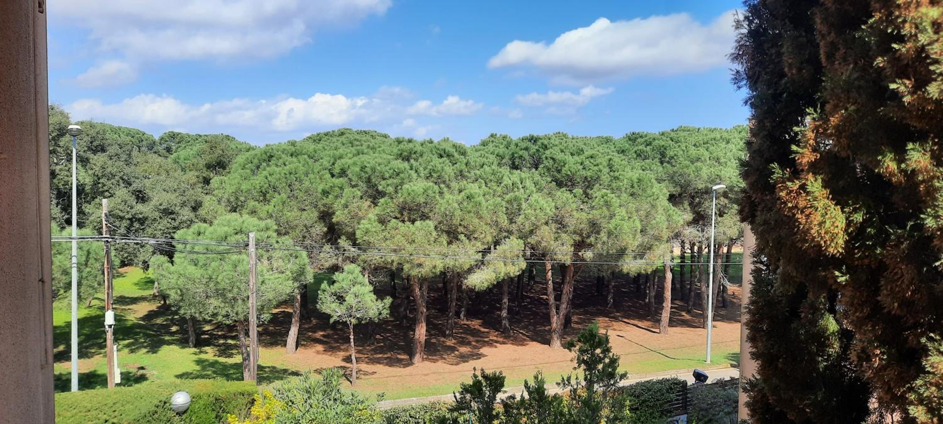 Apartamento de standing Calella de Palafrugell photo 4