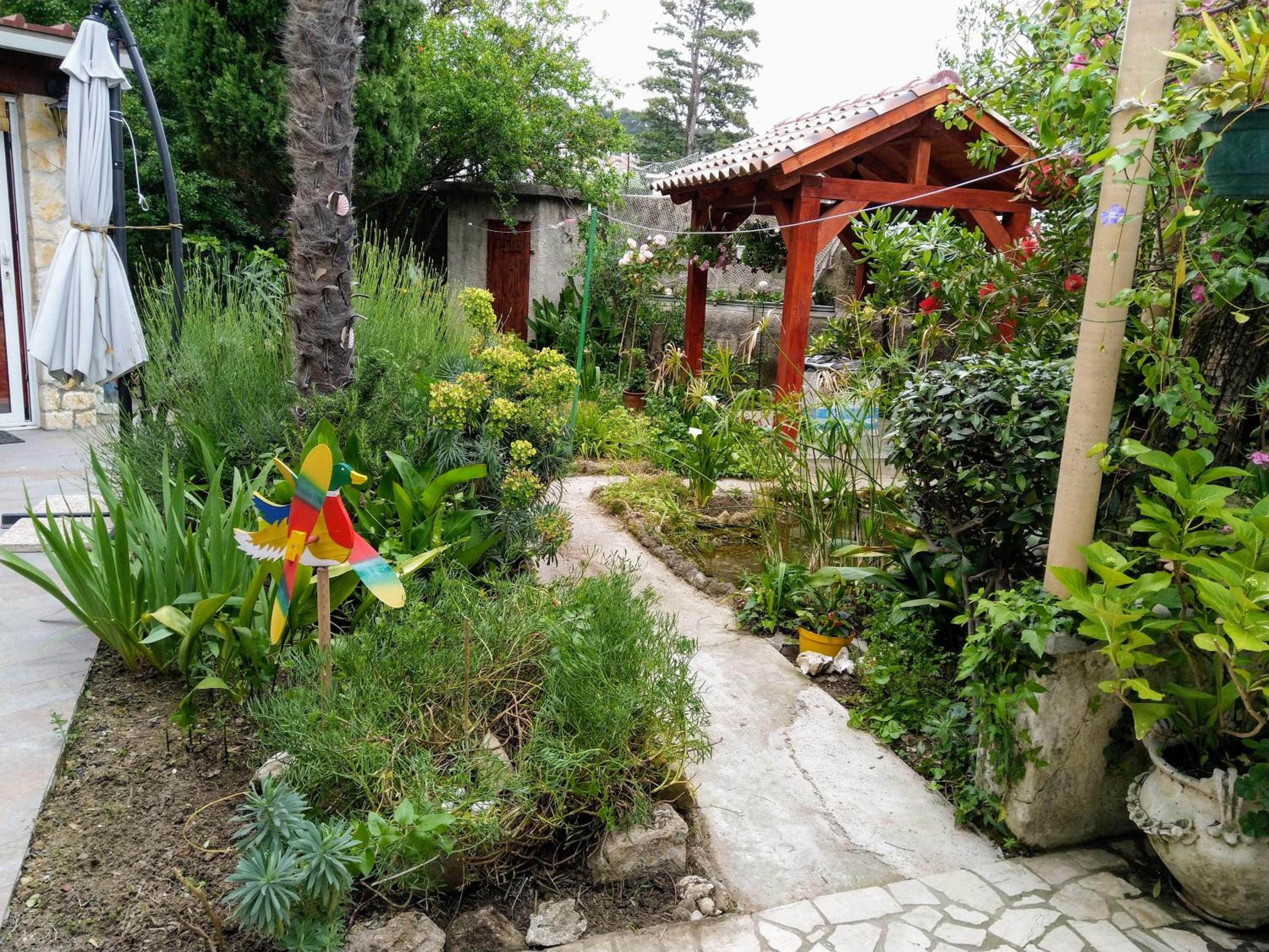Photo 29