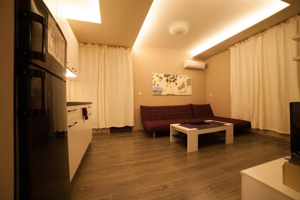 Apartment ELI view 2