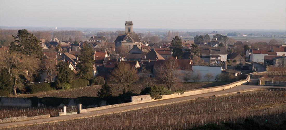Domaine VIOLOT-GUILLEMARD view 5