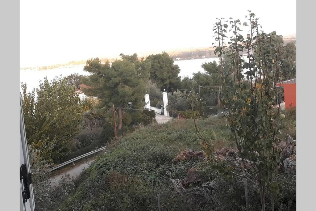 Photo 25
