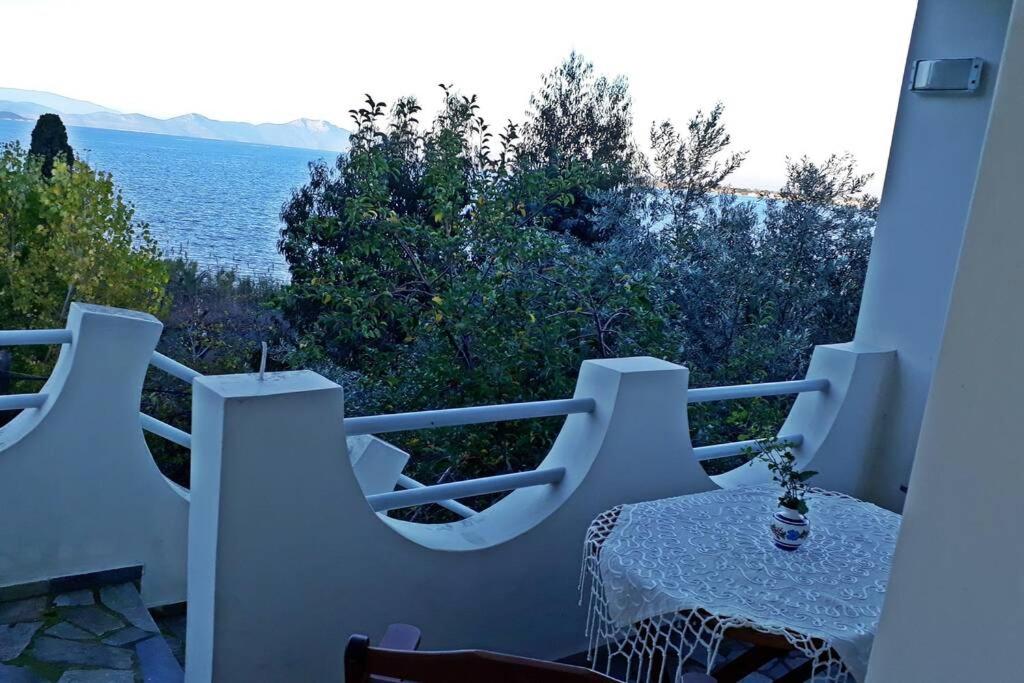 Photo 31