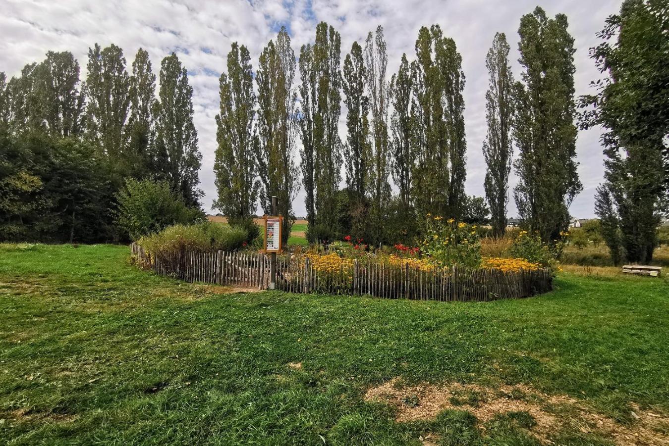 Photo 19