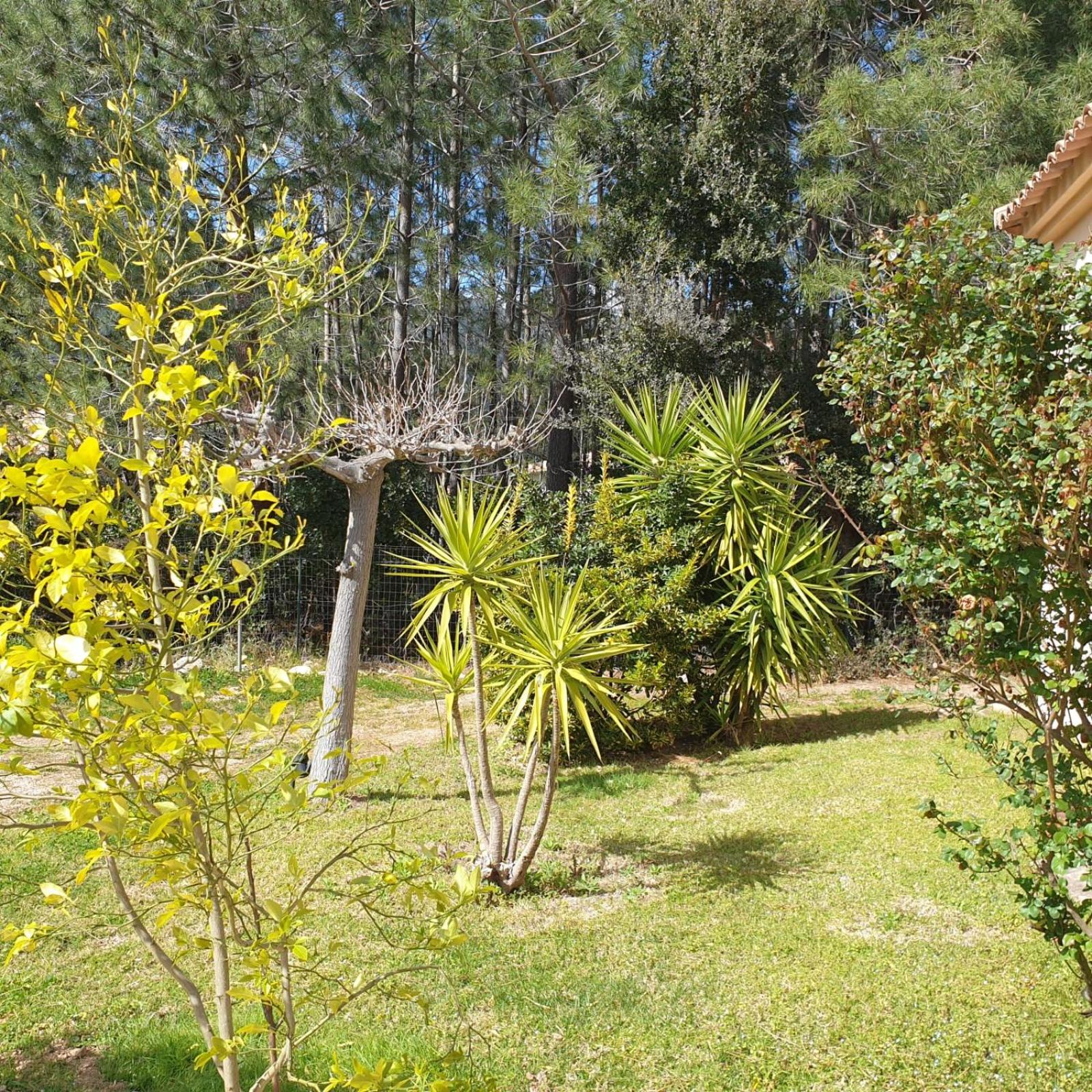 Photo 27